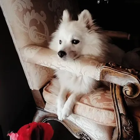 Damabianca Pensjonat 3*