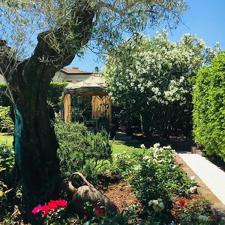 Damabianca Portogruaro