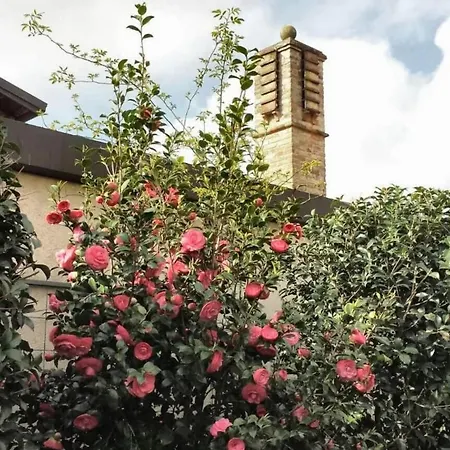 Damabianca Portogruaro