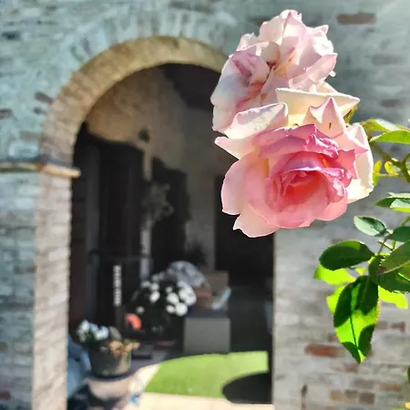 Maison d'hôtes Damabianca Portogruaro