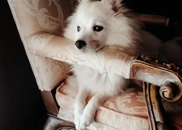 Damabianca Pensión 3*