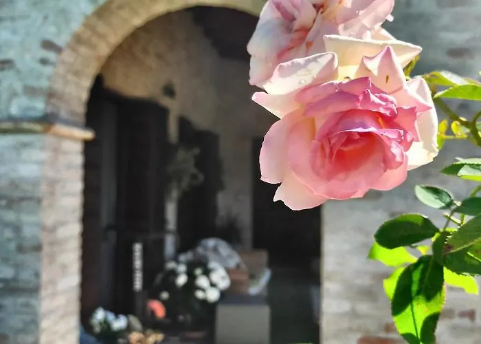 Pensión Damabianca Portogruaro