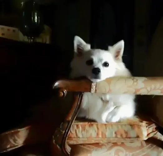 Vendégház Damabianca Portogruaro